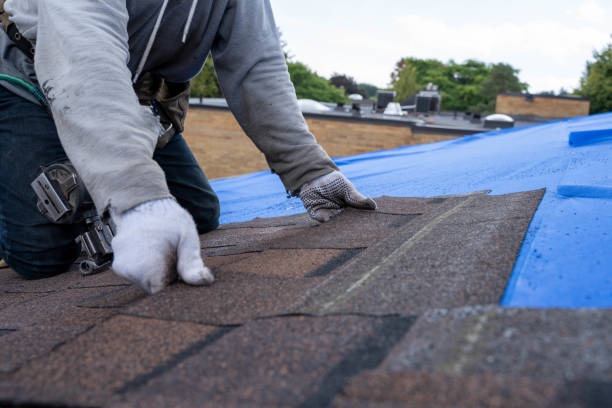 Best Roof Repair Services  in Kinsley, KS
